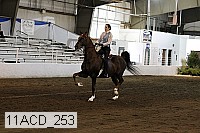 11acd_253 proof
