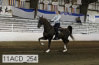 11acd_254 proof
