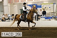 11acd_256 proof