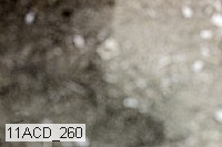 11acd_260 proof
