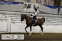 11acd_261 proof