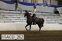 11acd_262 proof