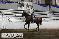 11acd_263 proof