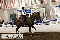 11acd_265 proof