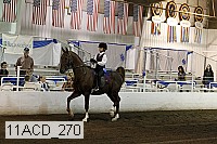 11acd_270 proof