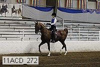 11acd_272 proof