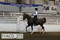11acd_273 proof