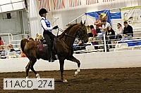 11acd_274 proof