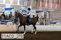 11acd_278 proof