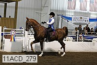11acd_279 proof