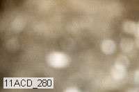 11acd_280 proof