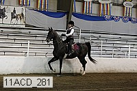 11acd_281 proof