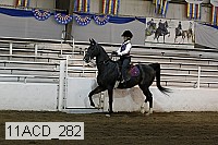 11acd_282 proof
