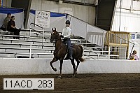 11acd_283 proof