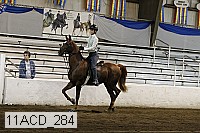 11acd_284 proof