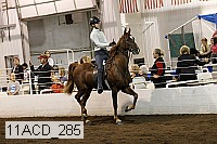 11acd_285 proof