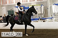 11acd_286 proof