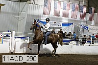 11acd_290 proof