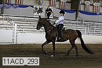 11acd_293 proof