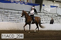 11acd_294 proof
