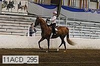 11acd_295 proof