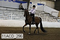 11acd_296 proof