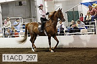 11acd_297 proof
