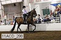 11acd_298 proof