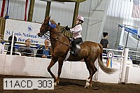 11acd_303 proof