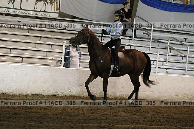 Proof 11acd_305
