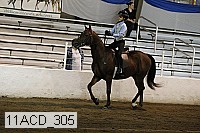 11acd_305 proof