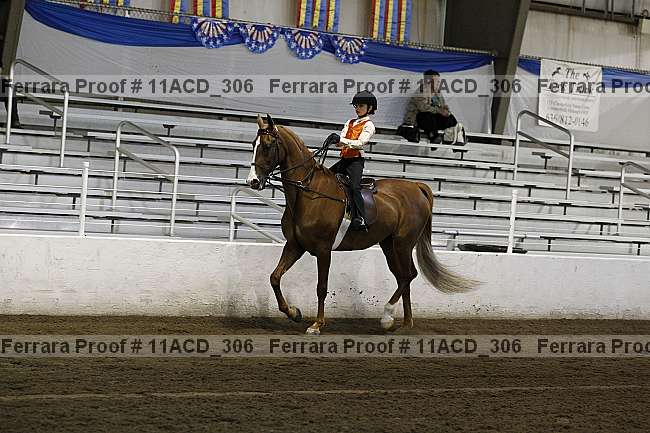 Proof 11acd_306
