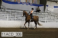 11acd_306 proof