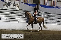 11acd_307 proof