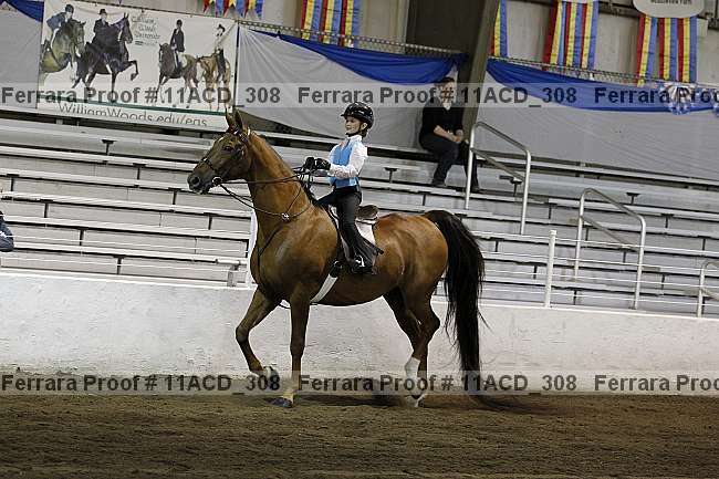 Proof 11acd_308