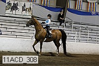 11acd_308 proof