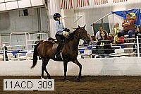 11acd_309 proof
