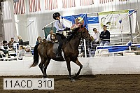 11acd_310 proof