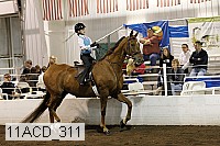 11acd_311 proof
