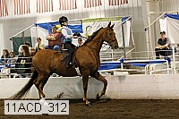 11acd_312 proof