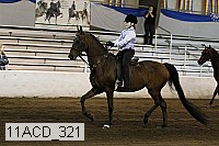 11acd_321 proof
