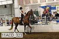11acd_323 proof