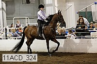 11acd_324 proof