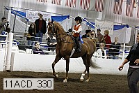 11acd_330 proof