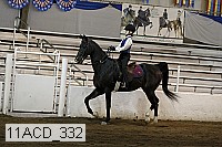 11acd_332 proof