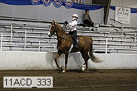 11acd_333 proof