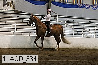 11acd_334 proof