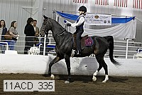 11acd_335 proof
