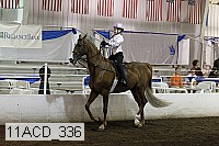 11acd_336 proof
