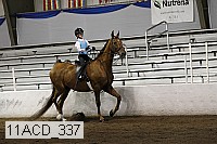 11acd_337 proof